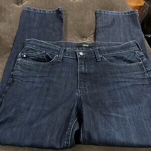 Joes jeans size 34